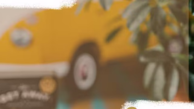 Kombi Simoneta auto para bodas
