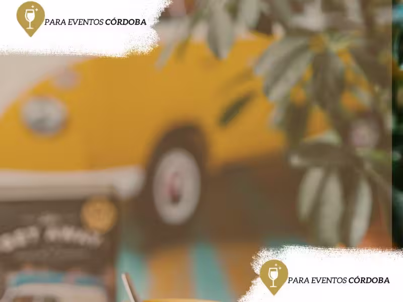 Kombi Simoneta auto para bodas