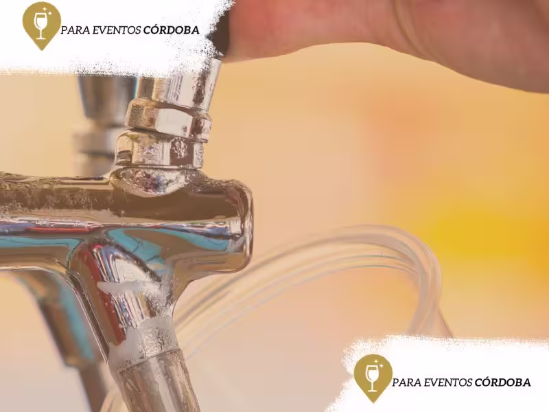 Slainte Fabrica de cerveza artesanal